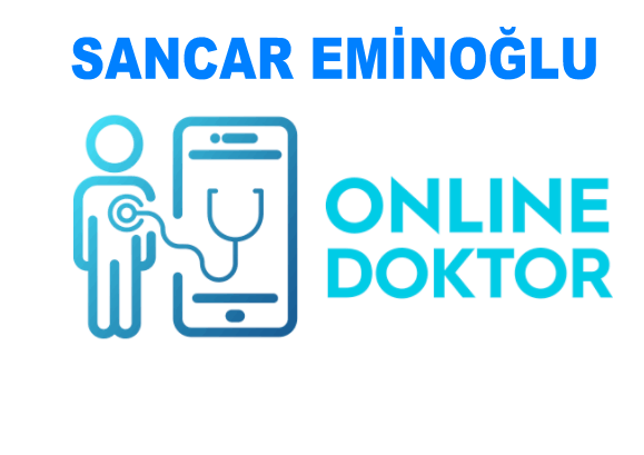 Mastering the First Impression: Your intriguing post title goes here Desteksistemilogosancareminoglu 579x409 1